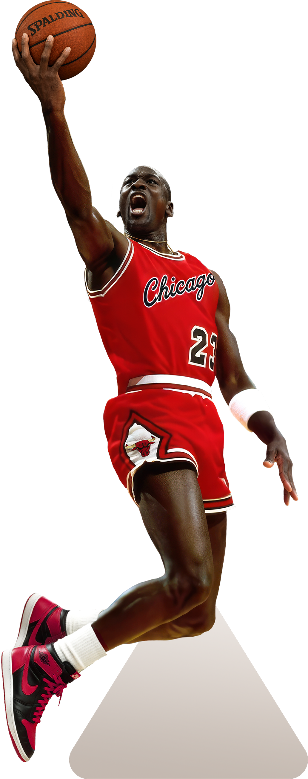 Michael Jordan standee